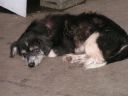PICT0057.JPG