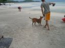 PICT0071_001.JPG