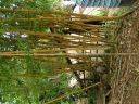 PICT0125.JPG
