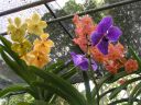 PICT0185.JPG