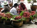 PICT0258.JPG