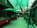 PICT0263.JPG
