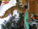 PICT0269.JPG