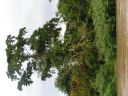 PICT0330.JPG