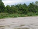 PICT0336.JPG