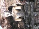 PICT0551.JPG