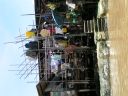 PICT0839.JPG