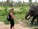 Dateiname=PICT1326.JPG
Dateigröße=430KB
Abmessungen: 1600x1200
hinzugefügt am: 02. Dezember 2015 PICT1326.JPG